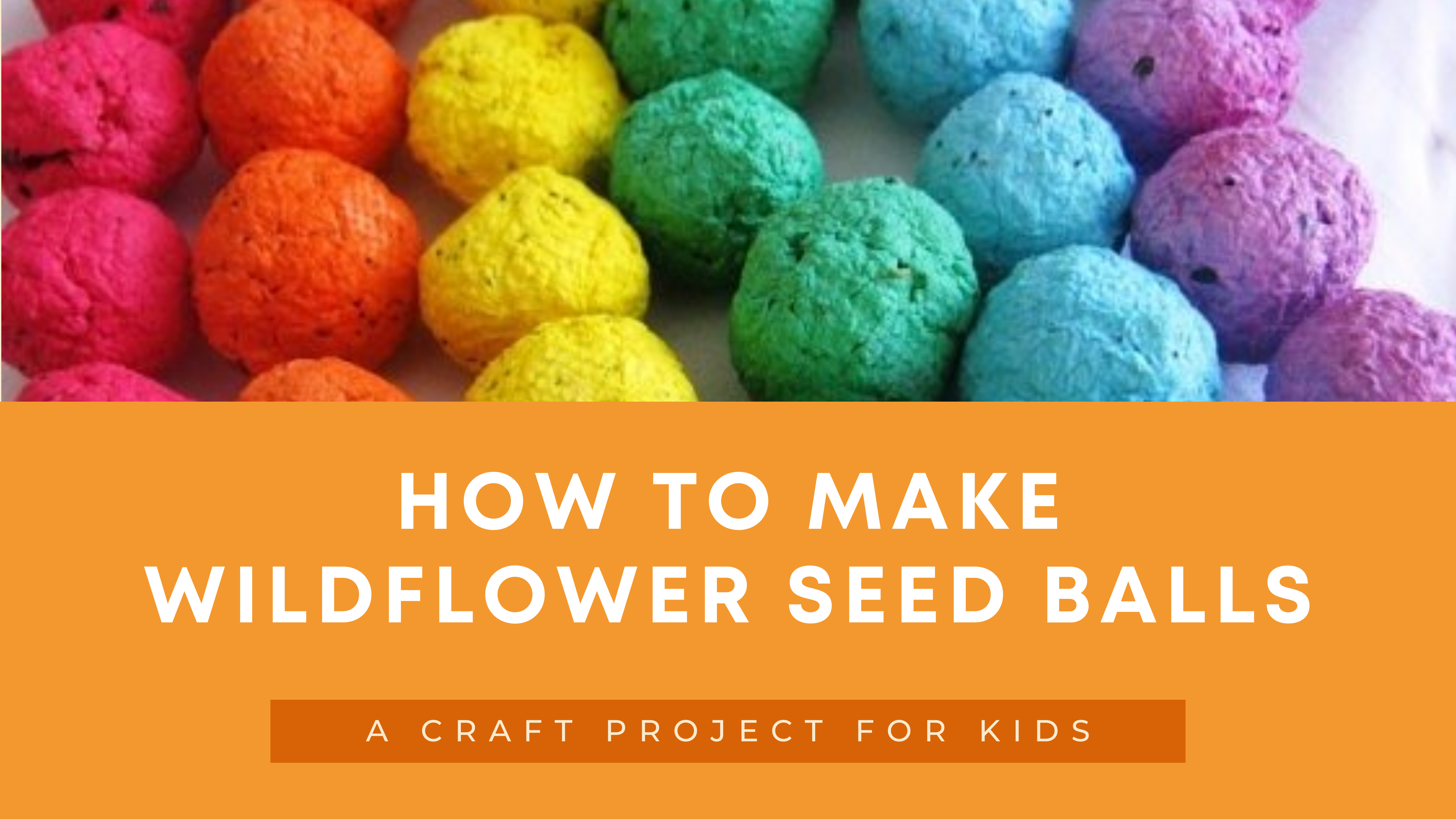 How to make wildflower seed balls
